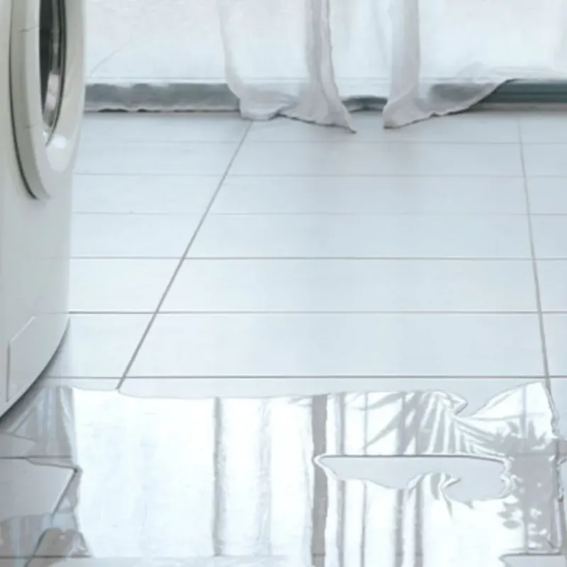 Appliance Leak Cleanup in Lindsay, OK