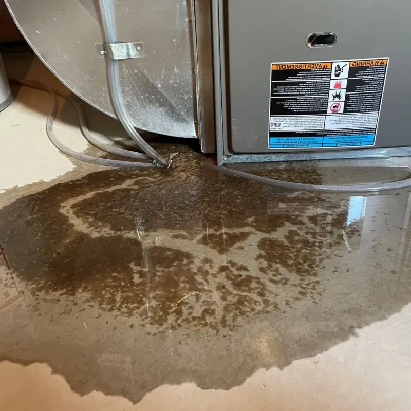 Pipe Burst and Leak Restoration in Lindsay, OK