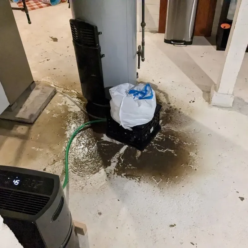 Sewage Backup Cleanup Service in Lindsay, OK